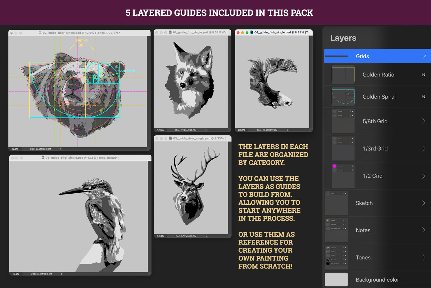 Drawing and Painting Guide - Wildlife Edition