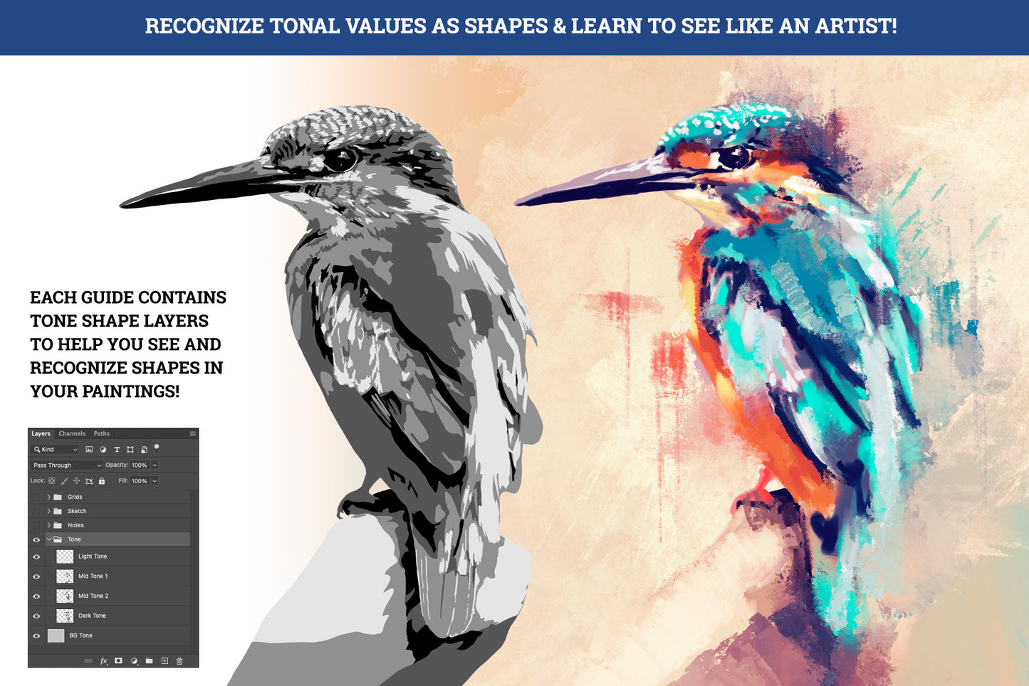 Drawing and Painting Guide - Wildlife Edition