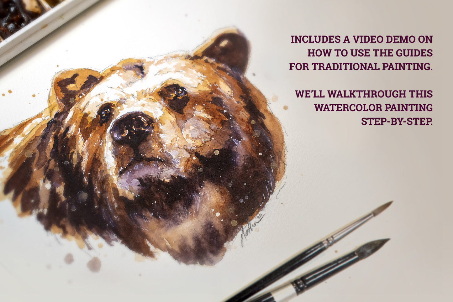 Drawing and Painting Guide - Wildlife Edition