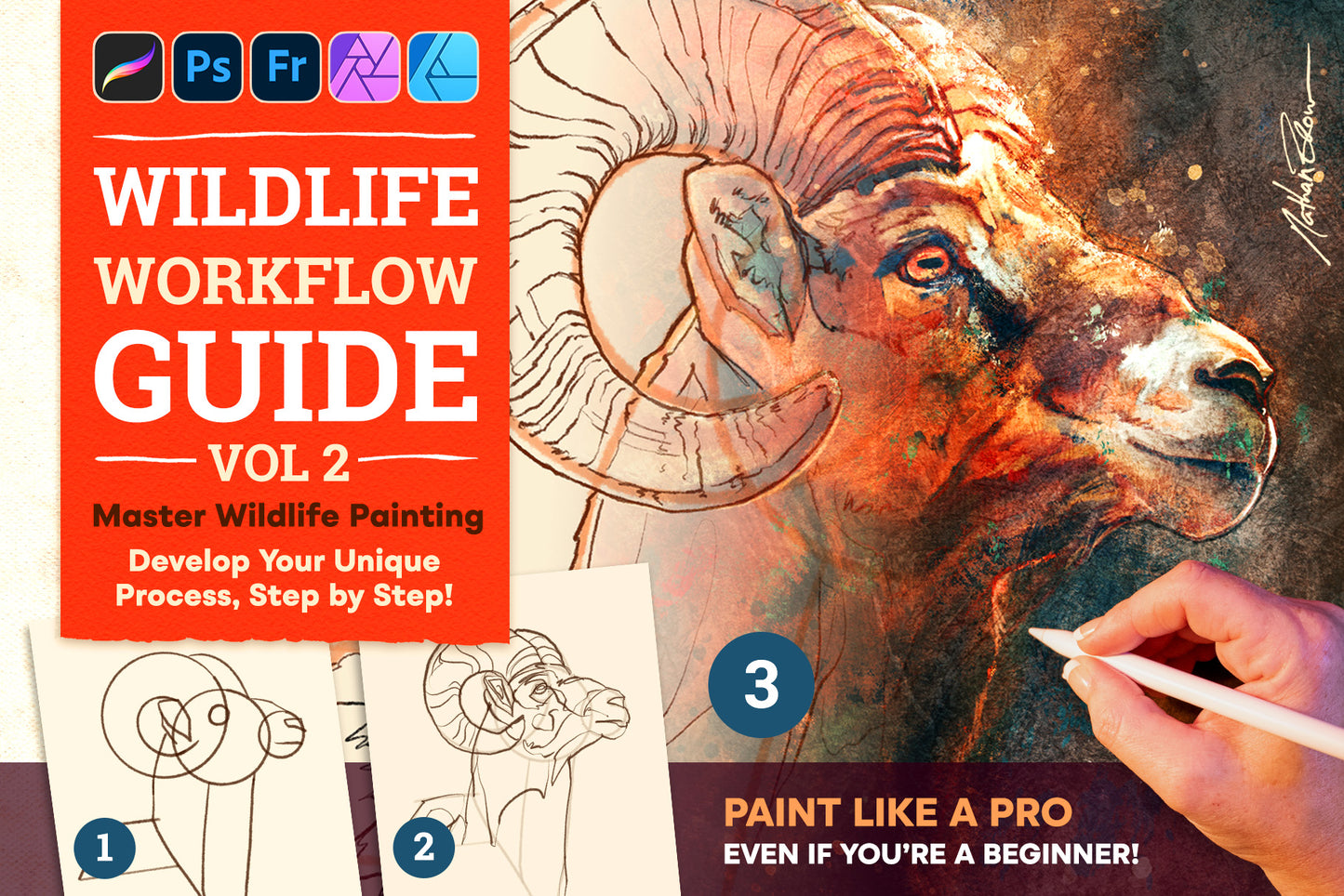 The Wildlife Workflow Guide – Volume 2