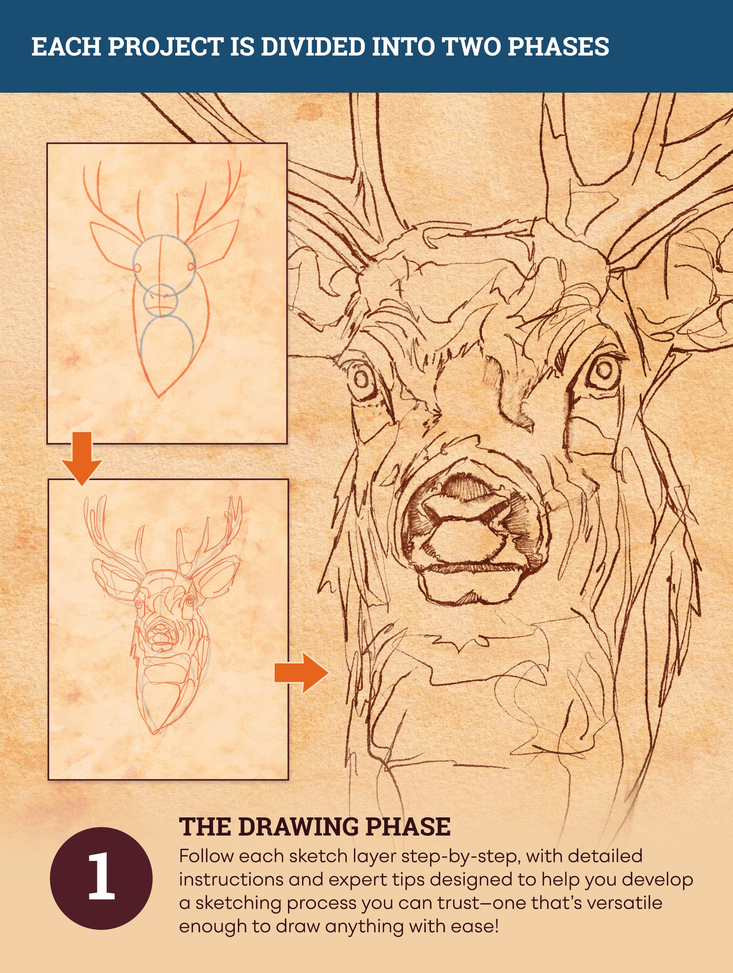 The Wildlife Workflow Guide – Volume 2