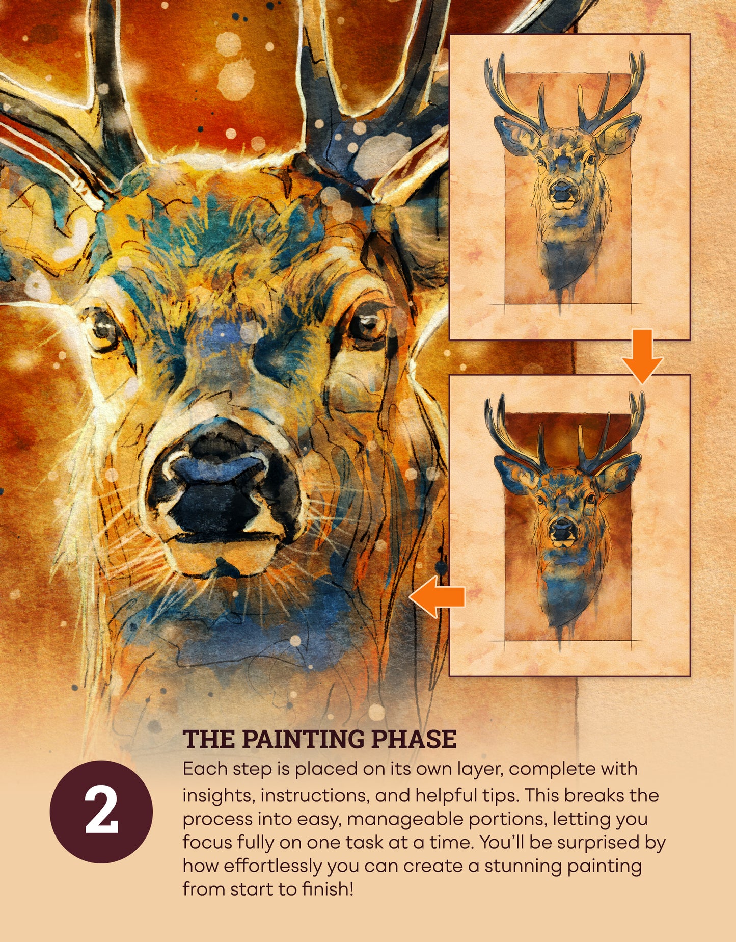 The Wildlife Workflow Guide – Volume 2