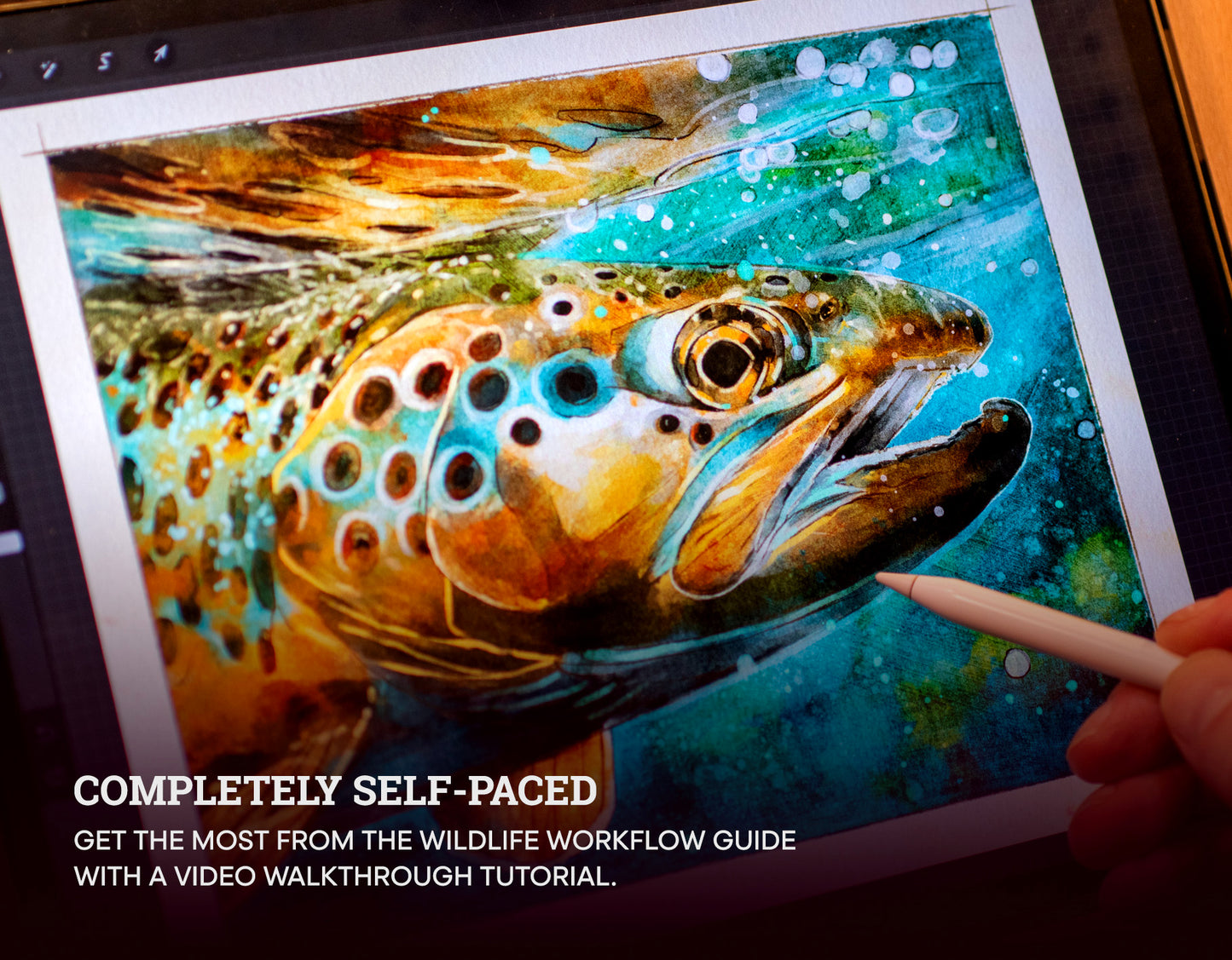 The Wildlife Workflow Guide – Volume 2