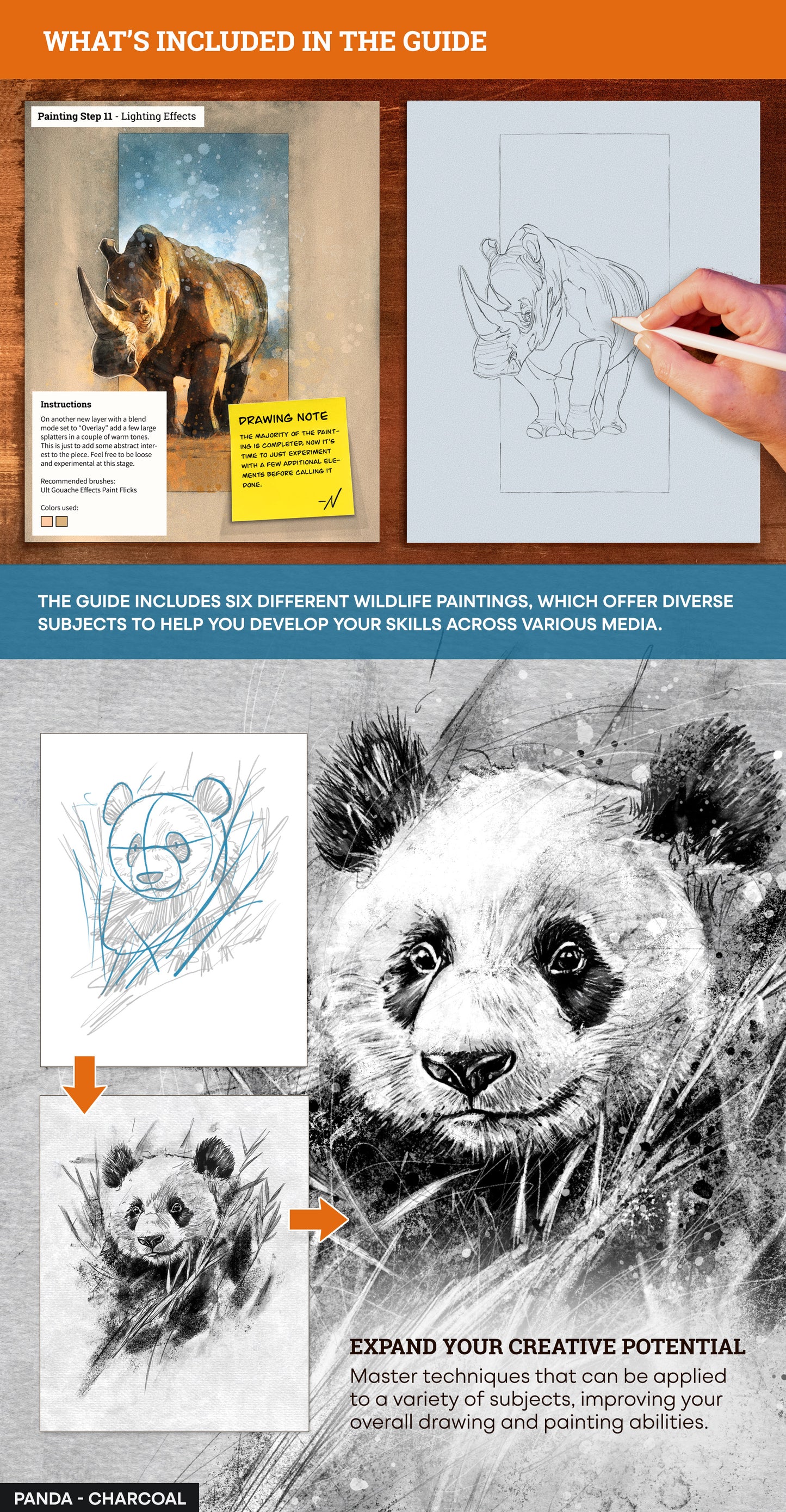 The Wildlife Workflow Guide – Volume 2