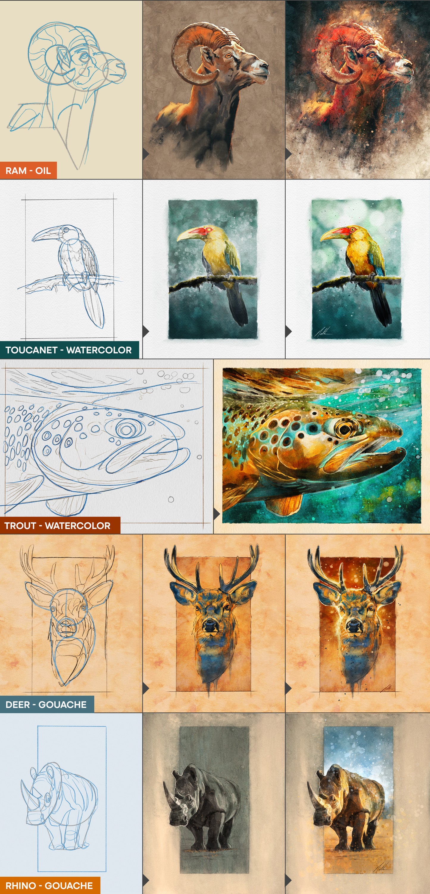 The Wildlife Workflow Guide – Volume 2