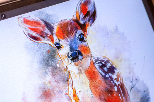 Fawn Sketch for Watercolor Tutorial