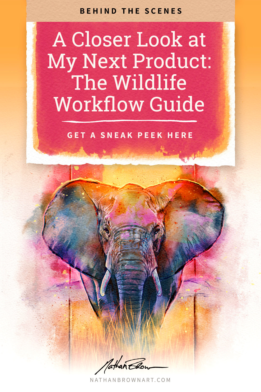 A Closer Look at My Next Product: The Wildlife Workflow Guide