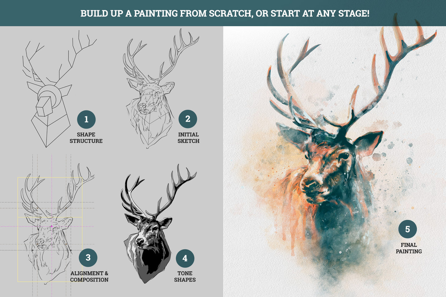 Drawing and Painting Guide - Wildlife Edition