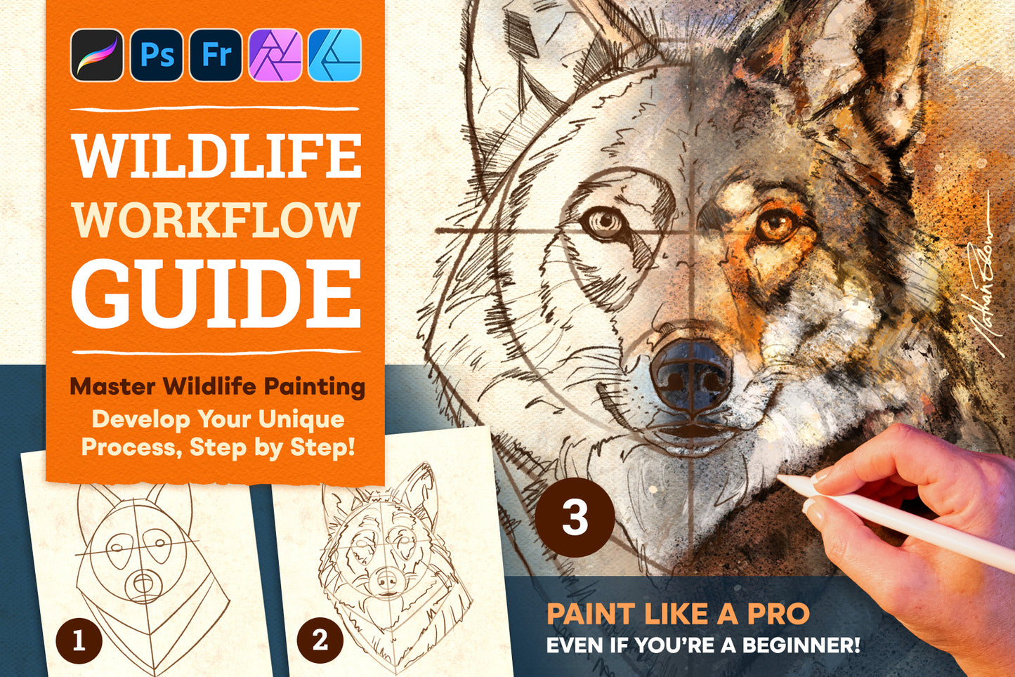 The Wildlife Workflow Guide