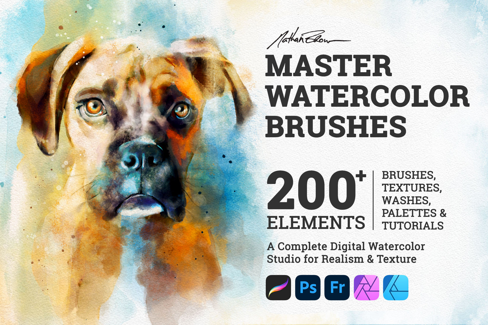 Master Watercolor Brushes Nathan Brown Art