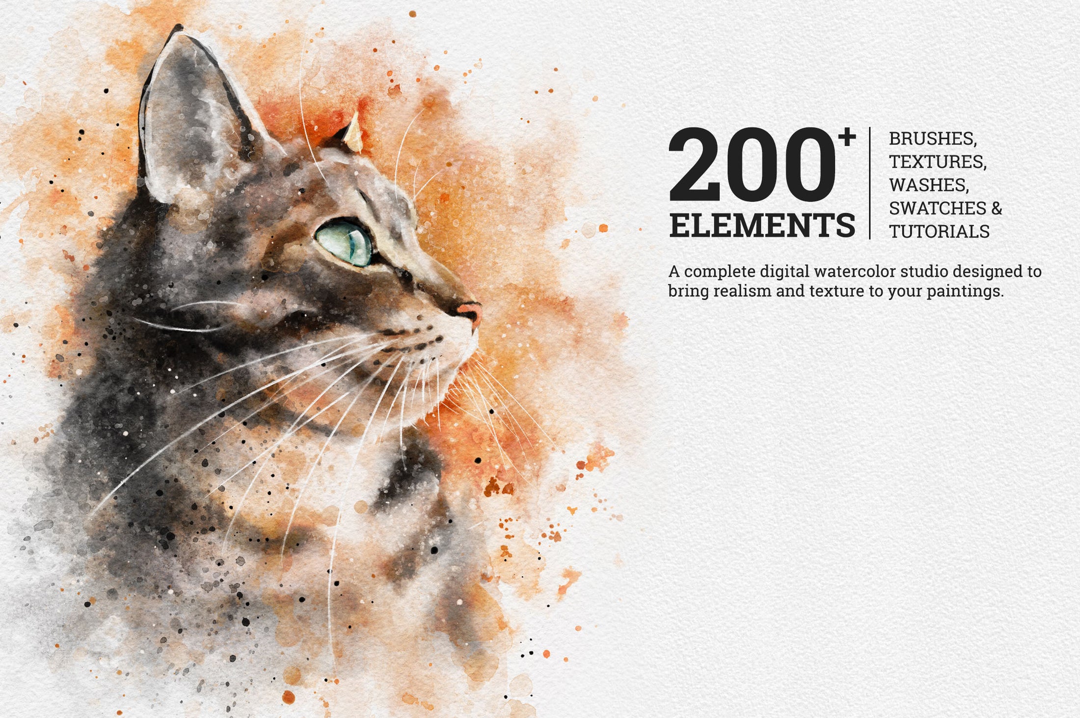 Master Watercolor Brushes Nathan Brown Art